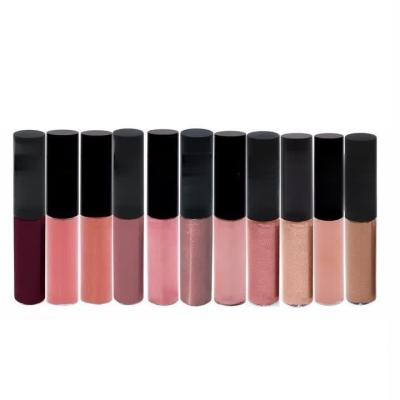 China Wholesale Matte Finish Liquid Lipstick Private Waterproof Label Lip Gloss for sale