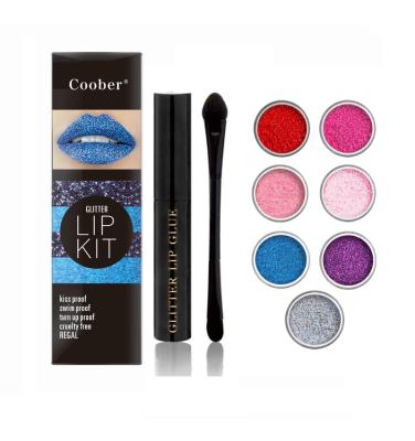 China Waterproof Custom Blue and Silver Glitter Lips Set Lip Gloss Lip Liner and Glitter Bondage Wholesale for sale