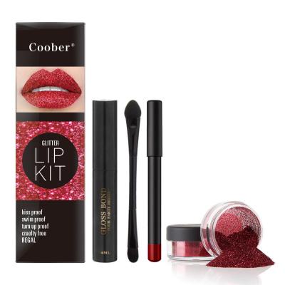 China Waterproof Wholesale Cosmetics Sticks For Lip Glitter Smudge Proof Long Lasting Glitter Lip Makeup Kit for sale