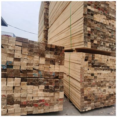 China Traditional natural poplar raw plank sawn lumber structural pine wood structural solid timber for sale