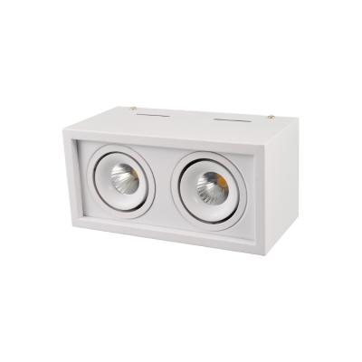 China Modern Double Head 20W Adjustable White LED Downlight Dimmable for sale