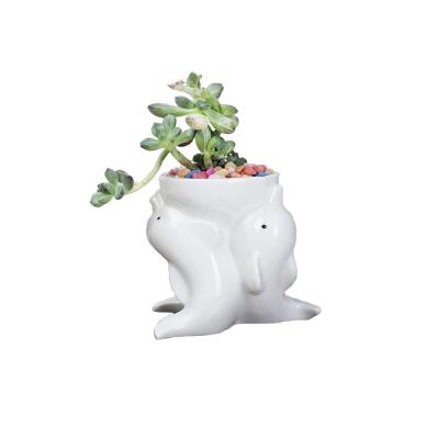 China New Modern Custom Ceramic Planter Dolphin Plant Succulent Pot for sale