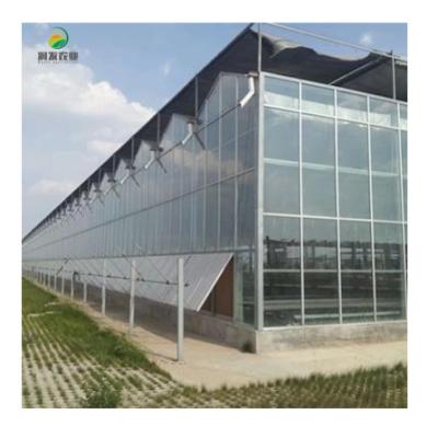 China Vegetable Growing Fruits Multi-span Modern Horticultural Glass Greenhouse Prefab Hydroponic Glass Growing Systems House for sale