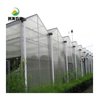 China Vertical Flowers Vegetable Low Cost NFT Agricultural Hydroponic Fruit Growing Systems With Multi-span Intelligent PC Greenhouse for sale