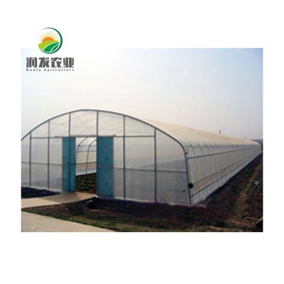 China Vegetable Cultivation Etc Sale Plastic Film Agricultural Greenhouse High Quality Hot Tunnel Greenhouse for sale