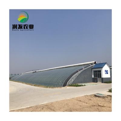 China Commercial Vegetable Growing Frame Winter Film Solar Warm Greenhouse For Vegetable Planting Flowars for sale