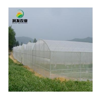 China Vegetable Cultivation Etc Aphid Anti Fiberglass Net Insect Proof Mesh Green House greenhouse pest screen for sale