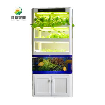 China Easy Growing Symbiosis NFT Indoor Hydroponic System Fish And Vegetable Hydroponic System for sale