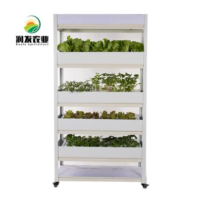 China Easy Installed Shape Indoor Vegetable Hydroponic Growing System Equipped Aquaponics System For Fish And Vegetable for sale