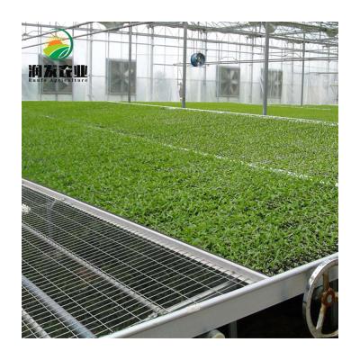 China Fruit Flowers Greenhouse Design Tunnel Plastic Sheet Vegetable Agricultural Professional Greenhouse Equipped Seedling for sale