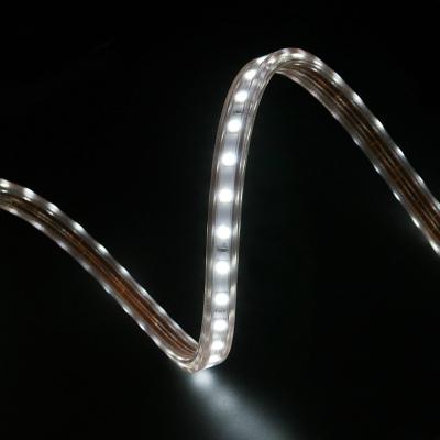 China Residential Strip Light Led Strip Lights Smart Led Strip Lights SMD5050 8W IP65 230V 60P 2700K 4000K 6500K RGB for sale