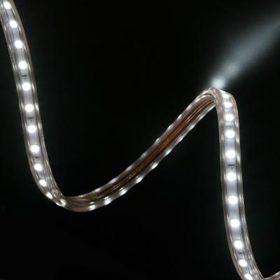 China Residential led lights for decoration led strip lights smart strip lights SMD5050 8W IP65 230V for sale