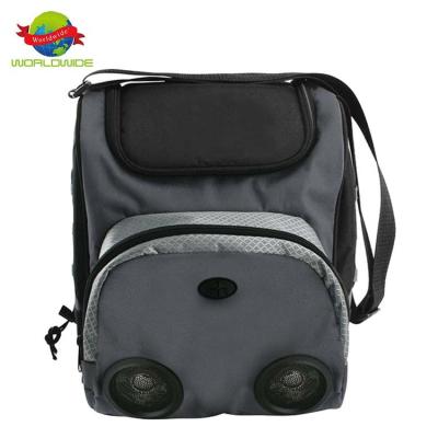 China Insulated Speaker Cooler Bag 20 Box Cooler Bag Insulated Cooler Bag With Speaker for sale