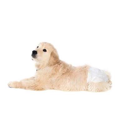 China 2022 New Design Free Sample Viable Dog Diaper Diapers Pets Training Smallest Pads Pet Diapers For Baby Dogs for sale