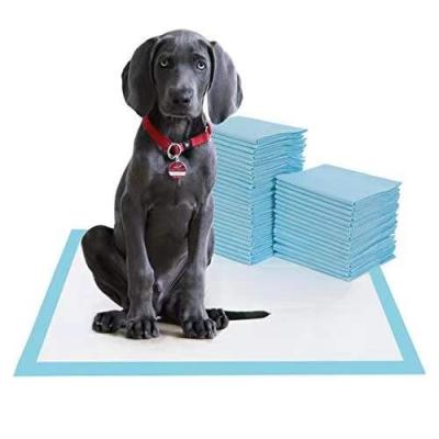 China Viable Disposable Mouse Pad PP002 Pet Protection Pet Products For Pet Store for sale