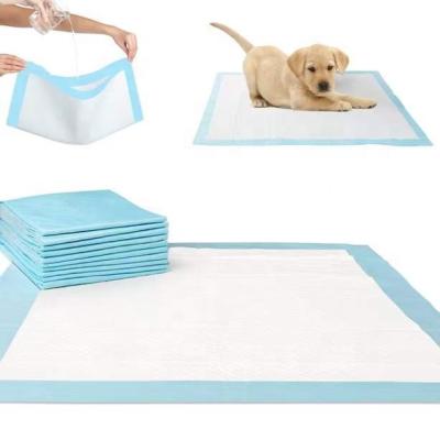 China Sustainable Pet Protective Pet Training Pet Pad Suppliers For Rabbit Dog Cat for sale