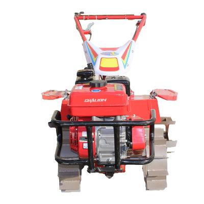 China Farms Low Price China Power Tiller Equipments Chalion 170F Gasoline Engine Power Tiller Agricultural Machine For Sale for sale