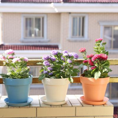 China Modern Plastic Flower Pots Balcony Cute Outdoor Garden Planters for sale