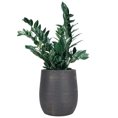 China Garden Durable Indoor Outdoor Cement Decor Concrete Planters Flower Potted Plant Pots Wholesale for sale