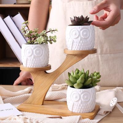 China Hot Selling Corrosion Resistance Decor Bamboo Treetop Small Owl Flower Succulent Planters Ceramic Plant Pots Set for sale