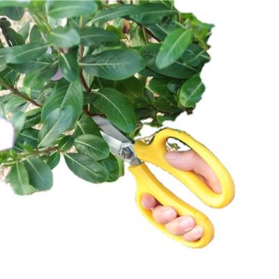 China Ease Safety Customizable Diversiform Garden Tools Cutting Pruning Scissors for sale