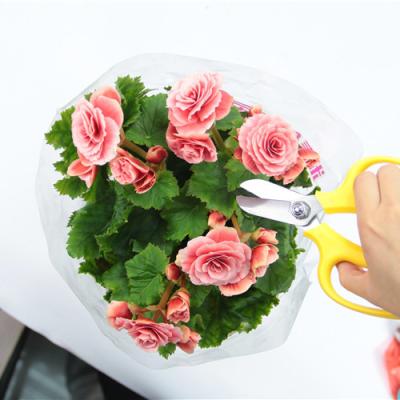 China Pruning Worth The Fashionable Small Stainless Steel Garden Flower Cutting Scissors Deviate The Pruner for sale