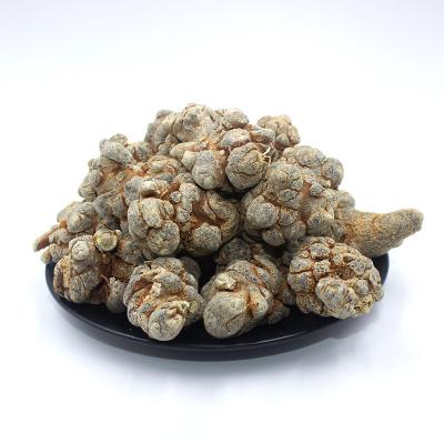 China Wholesale health food plants are the most popular Chinese herbs Panax Notoginseng / Pseudo-ginseng for sale