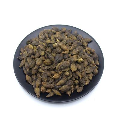 China Health Food Gansu Guocao High Quality Health Benefit Chinese Herbs Dried Forsythia for sale