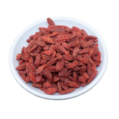 China Health Food Factory Wholesale High Quality Popular Fruit Seeds Wolfberry Chinese Medicine Goji Berry for sale