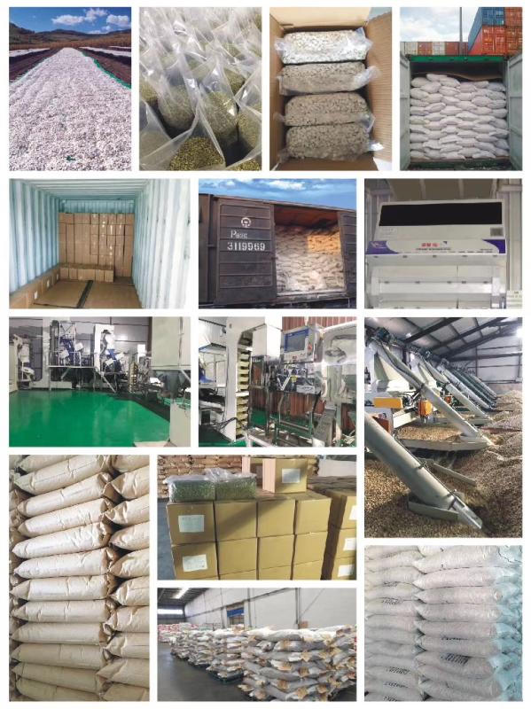 Verified China supplier - Green Farm Import & Export (Dalian) Co., Ltd.