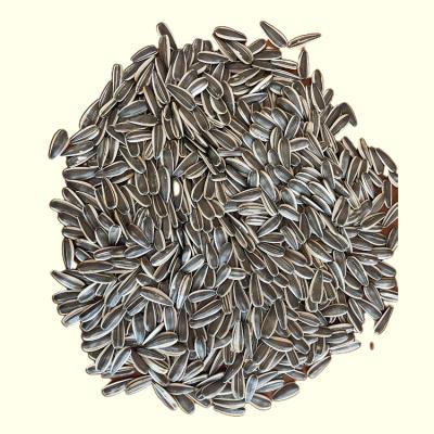 China Economy Dried Sunflower Seeds Roasted Salted Roasted Sunflower Seeds Line for sale