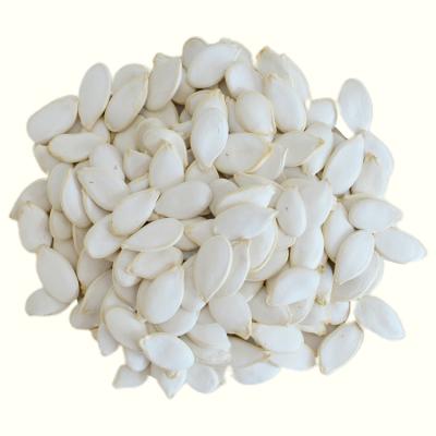 China Snow White Giant Snow Pumpkin Seed Dry White Inshell for sale