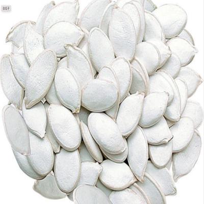 China High quality wholesale hot sale dry snow white pumpkin seed Chinese for sale