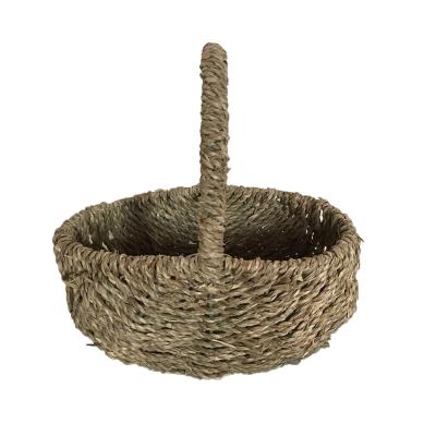 China Viable Vegetable Plankton Woven Straw Gift Storage Baskets With Handle For Fruit Planting Flower Pot for sale