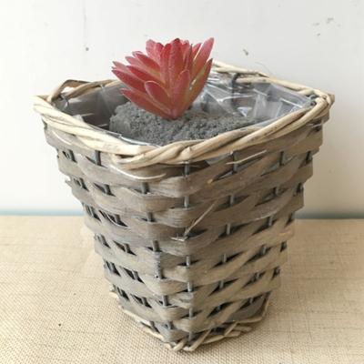 China Wholesale Indoor Outdoor Decoration Small Size Artificial Plants Potted Succulents For Decoration Office Garden for sale