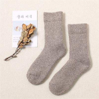 China Viable Sale Winter Wool Thickening Allmatch Warm Socks In Current Autumn Socks For Women for sale