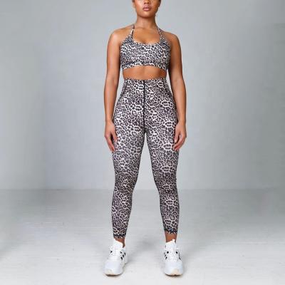 China 2022 Custom Made Recycled Polyester Leopard Logo Activewear 2 Piece Fitness Yoga Set Sets For Women for sale