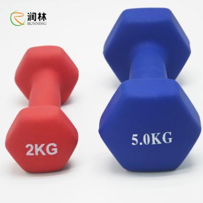 China O grupo do peso do Gym de Runlin, ferro fundido 2KG encanta pesos à venda