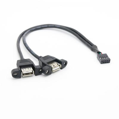 China Industrial Dupont PC/Motherboard 2.54mm 2.0mm Chassis 9 Pin Header to 2 Dual Ports USB 2.0 Panel Mount Adapter Cable Motherboard Extension Female Cab for sale