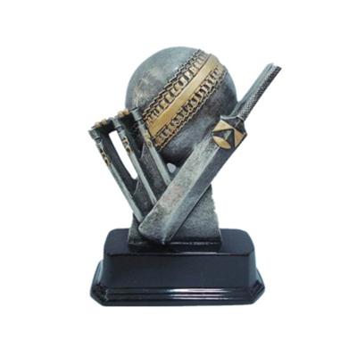 China Europe cricket ball and european bat awards souvenir for sale