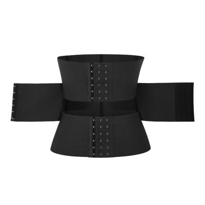 China Antibacterial Wholesale Custom Adjust Hooks Women Tummy Trimmer Control Waist Trainer Belt for sale