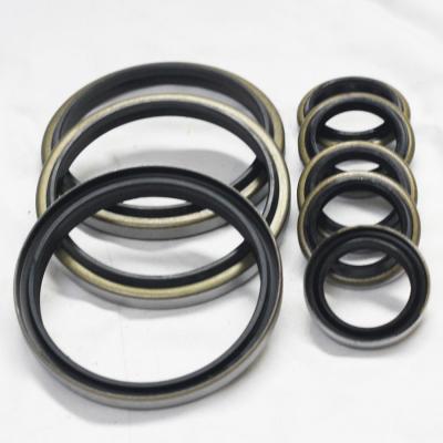 China High Temperature Resistance Oil Resistant NBR DKB/DKBI Dustproof Oil Seal with Metal for sale