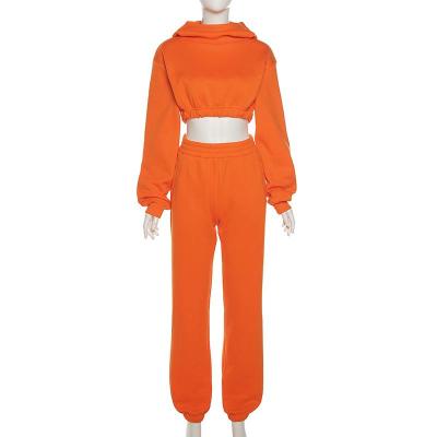 China Custom New Crop Top Jogger Anti-UV Sweat Suit 2 Piece Hoodiesuit Pants Set Jogging Tracksuit Women Tracksuit for sale