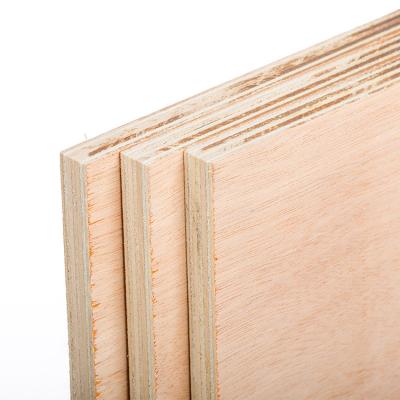 China Modern Film Faced Plywood Formwork Hardwood Plywood Commercail Shuttering Plywood for sale