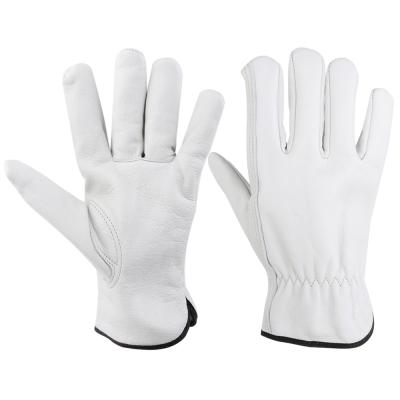 China AB Grade Cow Grain Leather Driver Gloves Leather Garden Anti Abrasion Work Gloves for sale