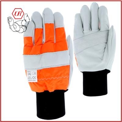 China Anti-Cut Cow Grain Leather Cutting Lumberjack Chainsaw Safety Work Mechanic Gloves for sale