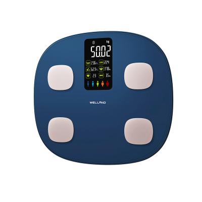 China Viable Unique Free Body Fat Scale Free Heart Rate BMI App Screen VA Fitness Weight Scale Digital Weight Scale for sale