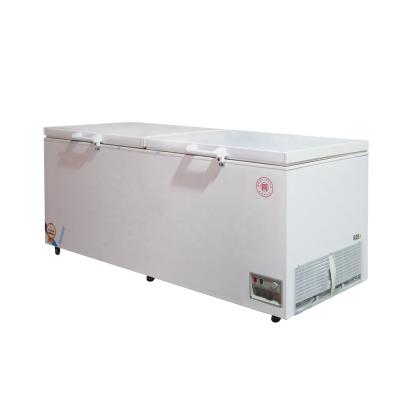 China 1110 PHIYOND Because / BD1198 1110L White Double Door Chest Deep Commercial Freezer for sale