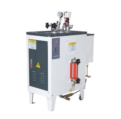 China Garment Pressing Equipment Best New Design Full Automatic Electric-Heated Steam Boiler Mini Garment Treatment for sale