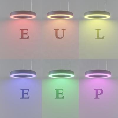 China RGB modern temperature led light modern ring lighting 4ft shape fixture contrloller app for shop led pendant light for sale